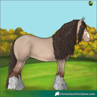 Horse Color:Amber Champagne Dun