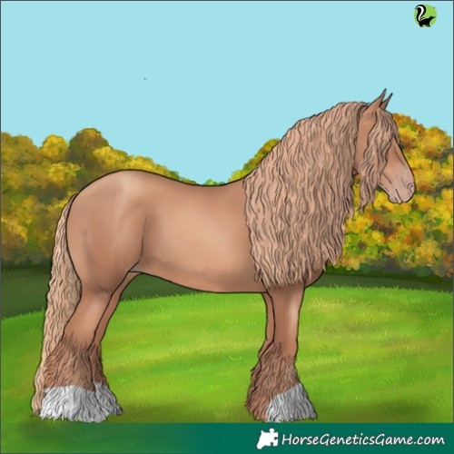 Horse Color:Gold Champagne 