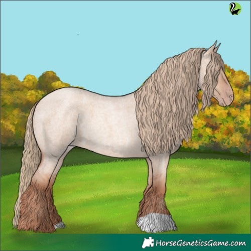 Horse Color:Gold Champagne Roan Dun