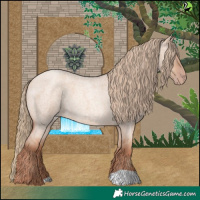 Horse Color:Gold Champagne Roan Dun 