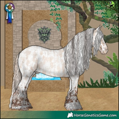 Horse Color:Sable Champagne Roan Dun  and Gold Champagne Roan Dun Appaloosa 