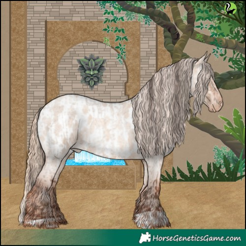 Horse Color:Sable Champagne Roan Dun  and Gold Champagne Roan Dun Appaloosa 
