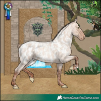 Horse Color:Sable Champagne Roan Dun  and Gold Champagne Roan Dun Blanket 