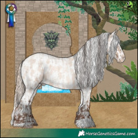Horse Color:Sable Champagne Roan Dun and Gold Champagne Roan Dun Appaloosa