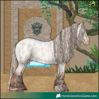 Horse Color:Sable Champagne Roan Dun  and Gold Champagne Roan Dun Appaloosa 