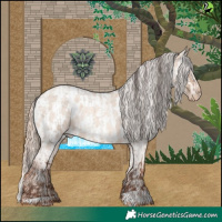 Horse Color:Sable Champagne Roan Dun  and Gold Champagne Roan Dun Appaloosa 