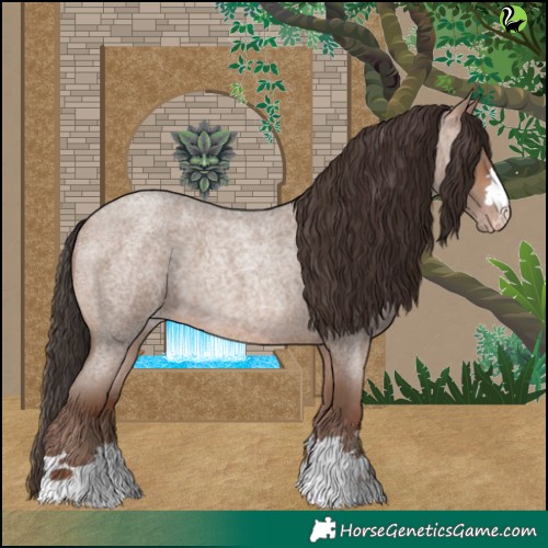 Horse Color:Sable Champagne Roan 