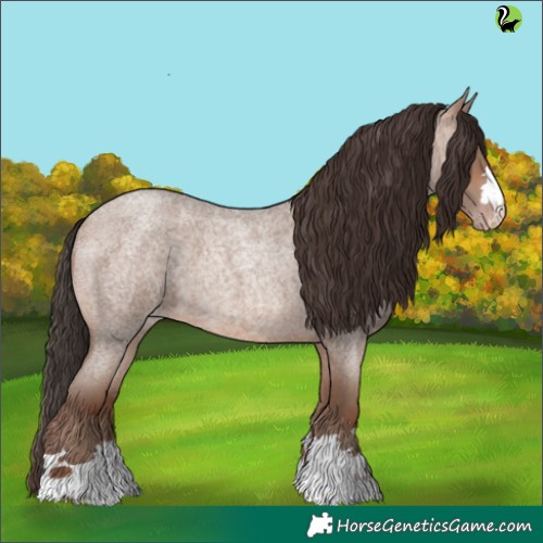 Horse Color:Sable Champagne Roan 