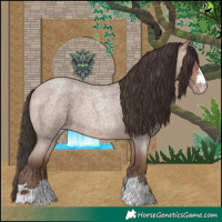 Horse Color:Sable Champagne Roan