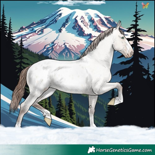 Horse Color:Sable Champagne Roan Dun Appaloosa 