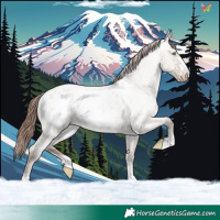 Horse Color:Sable Champagne Roan Dun Appaloosa 
