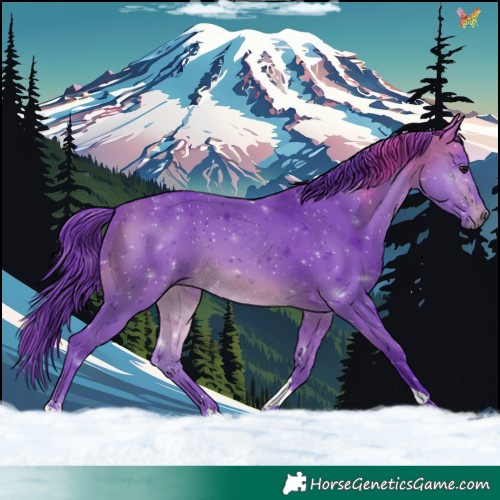 Horse Color:Watercolor Brown Tobiano 