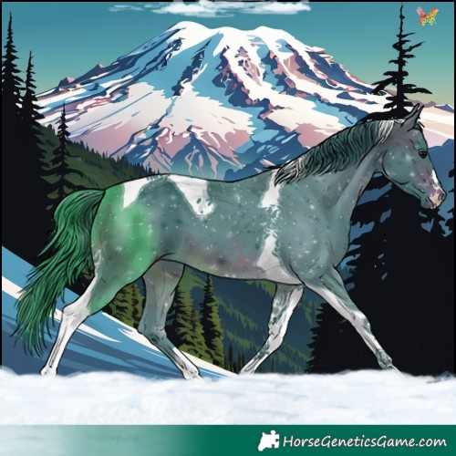 Horse Color:Watercolor Brown Tobiano 