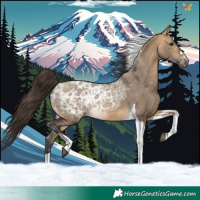 Horse Color:Buckskin Ice Dun Tobiano