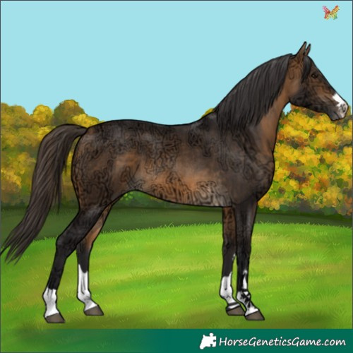 Horse Color:Buckskin Ice 