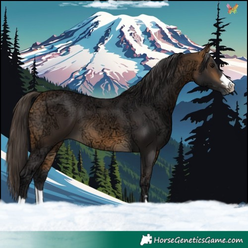Horse Color:Buckskin Ice 