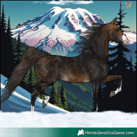 Horse Color:Buckskin Ice 