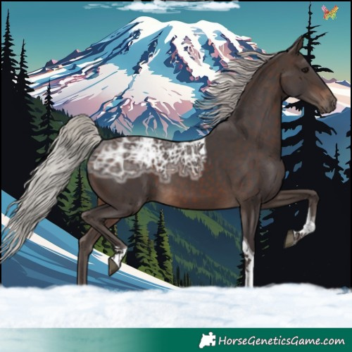 Horse Color:Silver Brown Ice Tobiano 