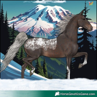 Horse Color:Silver Brown Ice Tobiano 