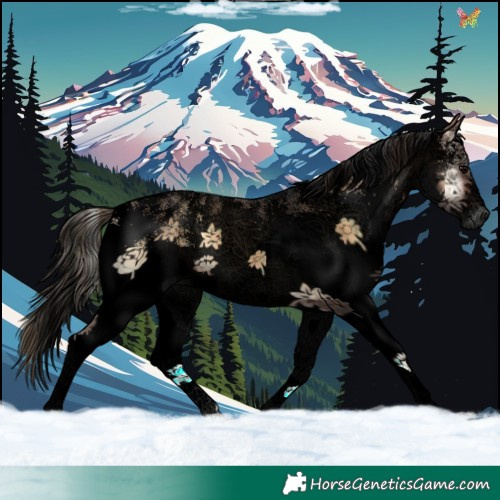 Horse Color:Void Plaid  White Spotted Brown Onyx 