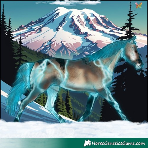 Horse Color:Void Thunderstruck Bay Onyx Tobiano 