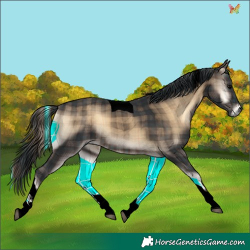 Horse Color:Void Plaid Brown Onyx Tobiano