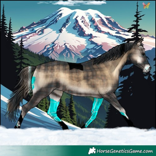 Horse Color:Void Plaid  Brown Onyx Tobiano 