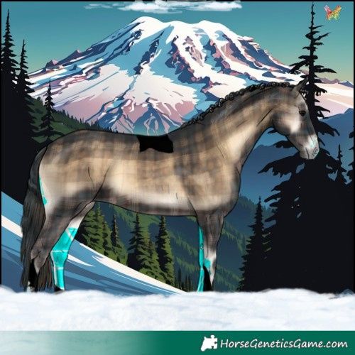 Horse Color:Void Plaid Brown Onyx Tobiano