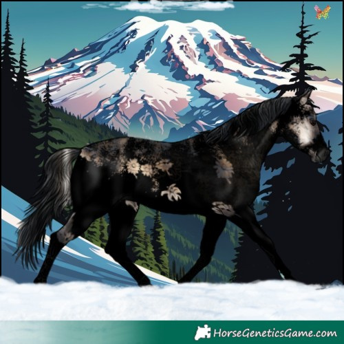 Horse Color:Void Plaid  White Spotted Brown Onyx 
