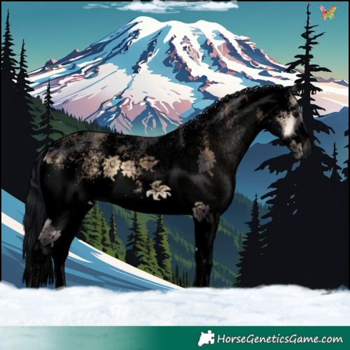 Horse Color:Void Plaid  White Spotted Brown Onyx 