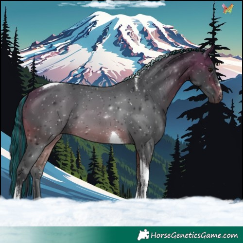 Horse Color:Painted Bay Tobiano 