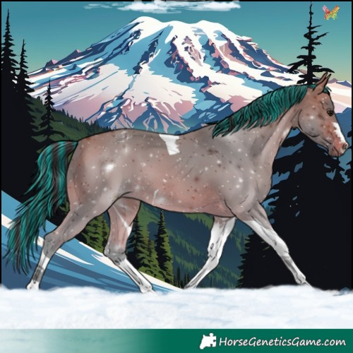 Horse Color:Painted Bay Tobiano 