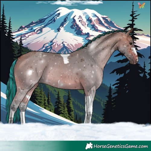 Horse Color:Painted Bay Tobiano 