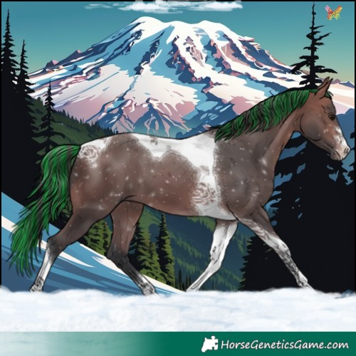 Horse Color:Painted Bay Tobiano 