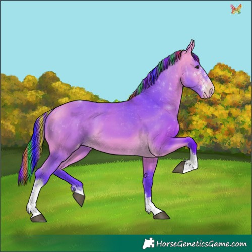 Horse Color:Painted Watercolor Buckskin Sabino Tobiano Appaloosa 