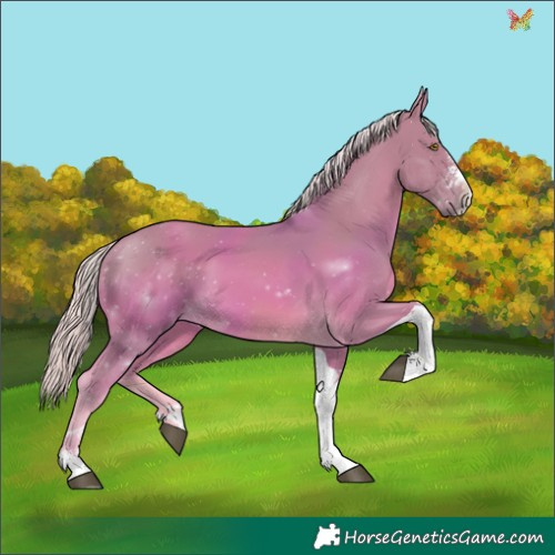 Horse Color:Watercolor Palomino Sabino Tobiano 
