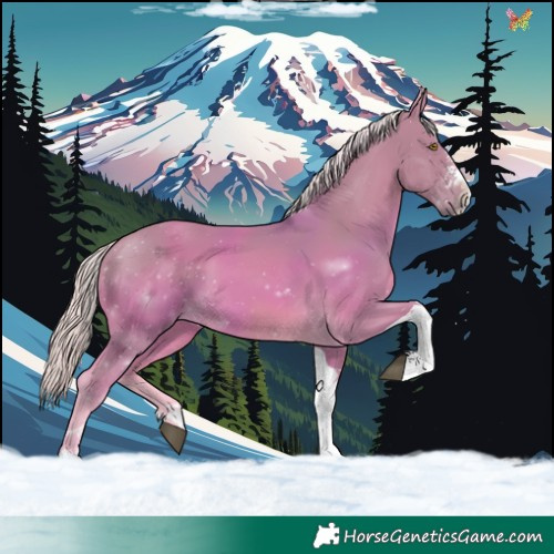 Horse Color:Watercolor Palomino Sabino Tobiano