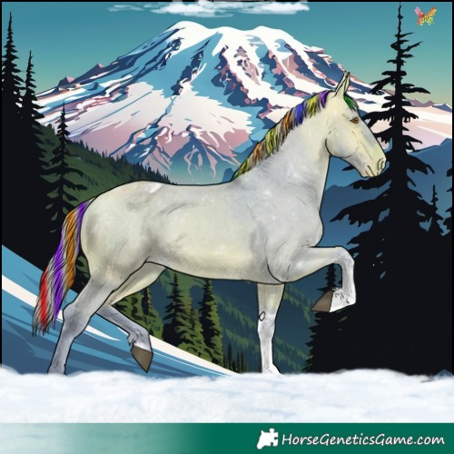 Horse Color:Painted Watercolor White Spotted Buckskin Tobiano Appaloosa 