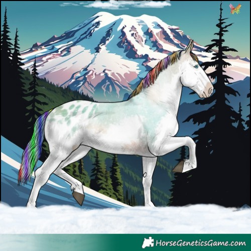 Horse Color:Painted Watercolor White Spotted Bay Splash Tobiano Blanket