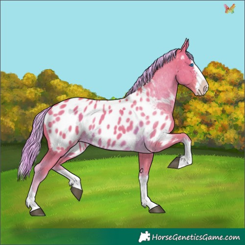Horse Color:Watercolor Chocolate Palomino Sabino Splash Appaloosa 