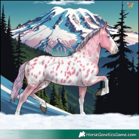 Horse Color:Watercolor Chocolate Palomino Sabino Splash Near Leopard