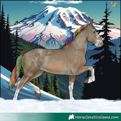 Horse Color:Painted Chocolate Palomino Sabino Splash 