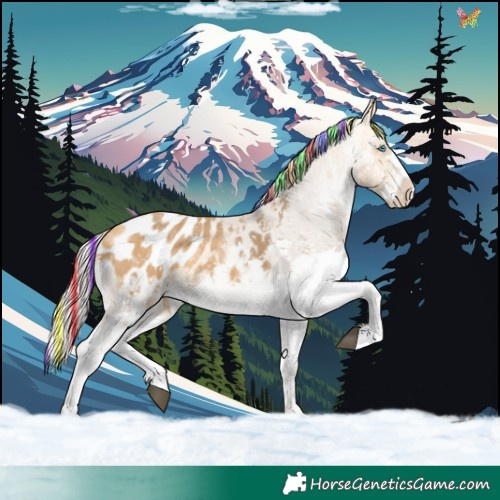 Horse Color:Painted Silver Buckskin Sabino Splash Appaloosa 