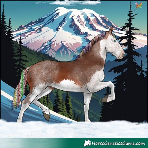 Horse Color:Painted White Spotted Silver Brown Splash 