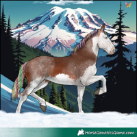 Horse Color:Painted White Spotted Silver Brown Splash