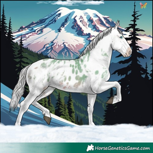 Horse Color:Watercolor Silver Buckskin Sabino Splash Blanket