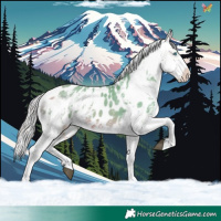 Horse Color:Watercolor Silver Buckskin Sabino Splash Appaloosa 