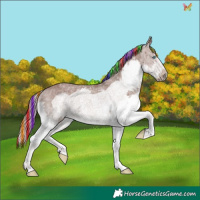Horse Color:Painted Chocolate Palomino Ice Sabino Splash Frame 