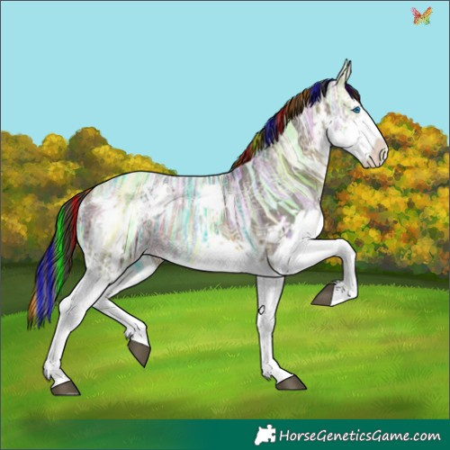 Horse Color:Painted White Spotted Buckskin Ice Splash