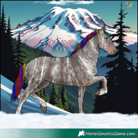 Horse Color:Painted Liver Chestnut Ice Sabino